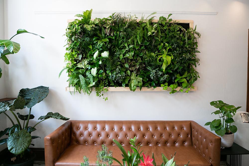 artificial plants on wall in living room